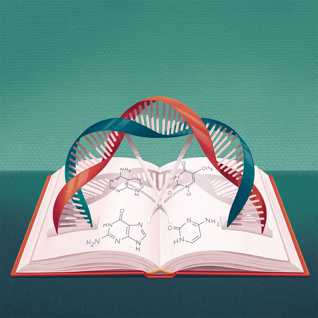 The double helix of DNA